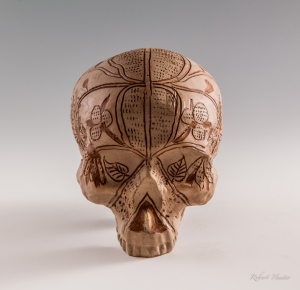 Michelle Erickson Devon skull 3